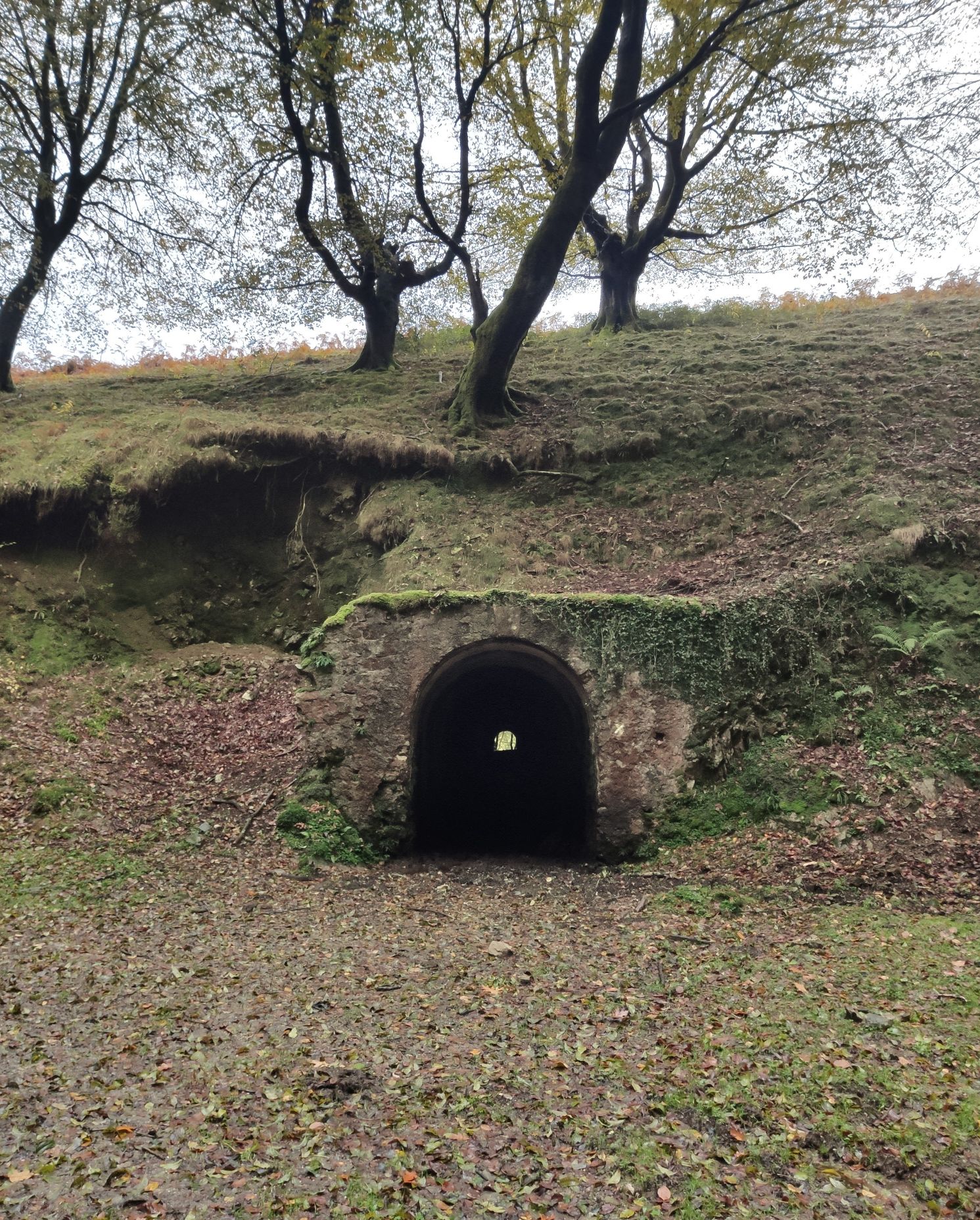 Túnel antiguo de ferrocarril